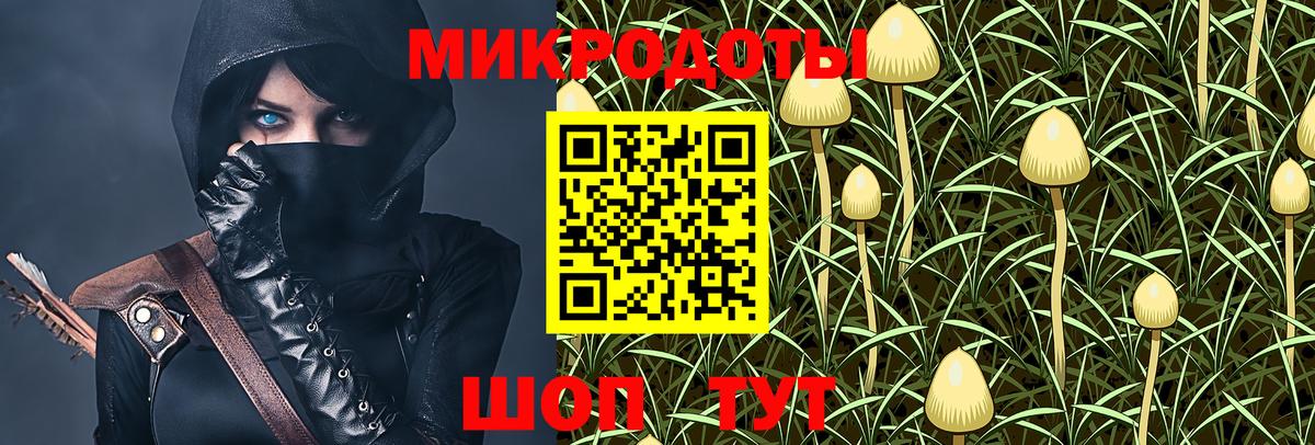 Галлюциногенные грибы мухоморы  Вход с VPN  Ачхой-Мартан 